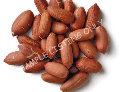 Raw Namibia Groundnuts