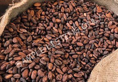 Namibia Cocoa Beans