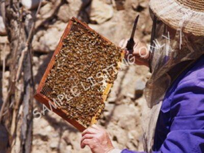 Pure Namibia Honey